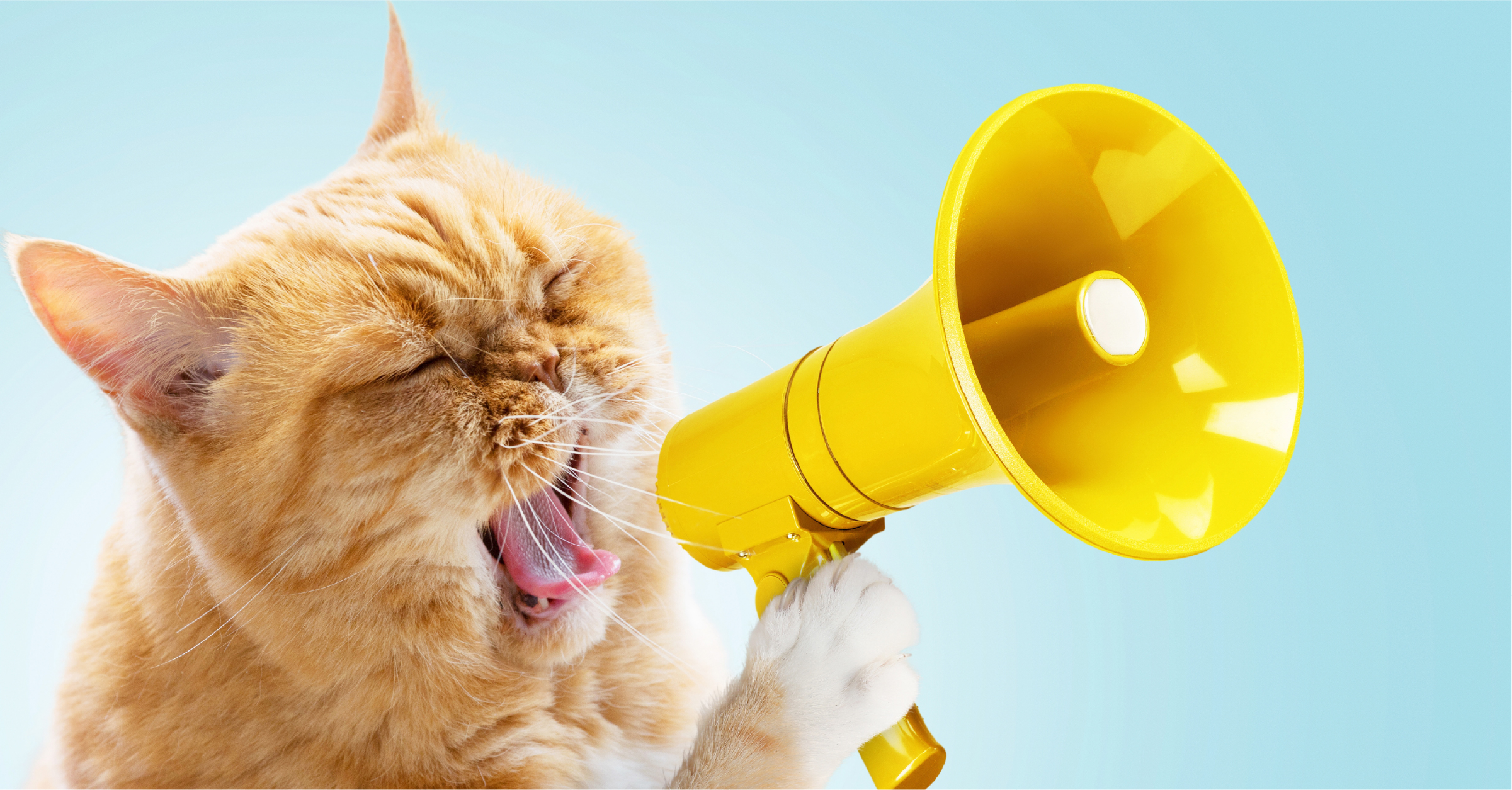 Is Your Stress Louder Than Your Voice in Professional Environments?