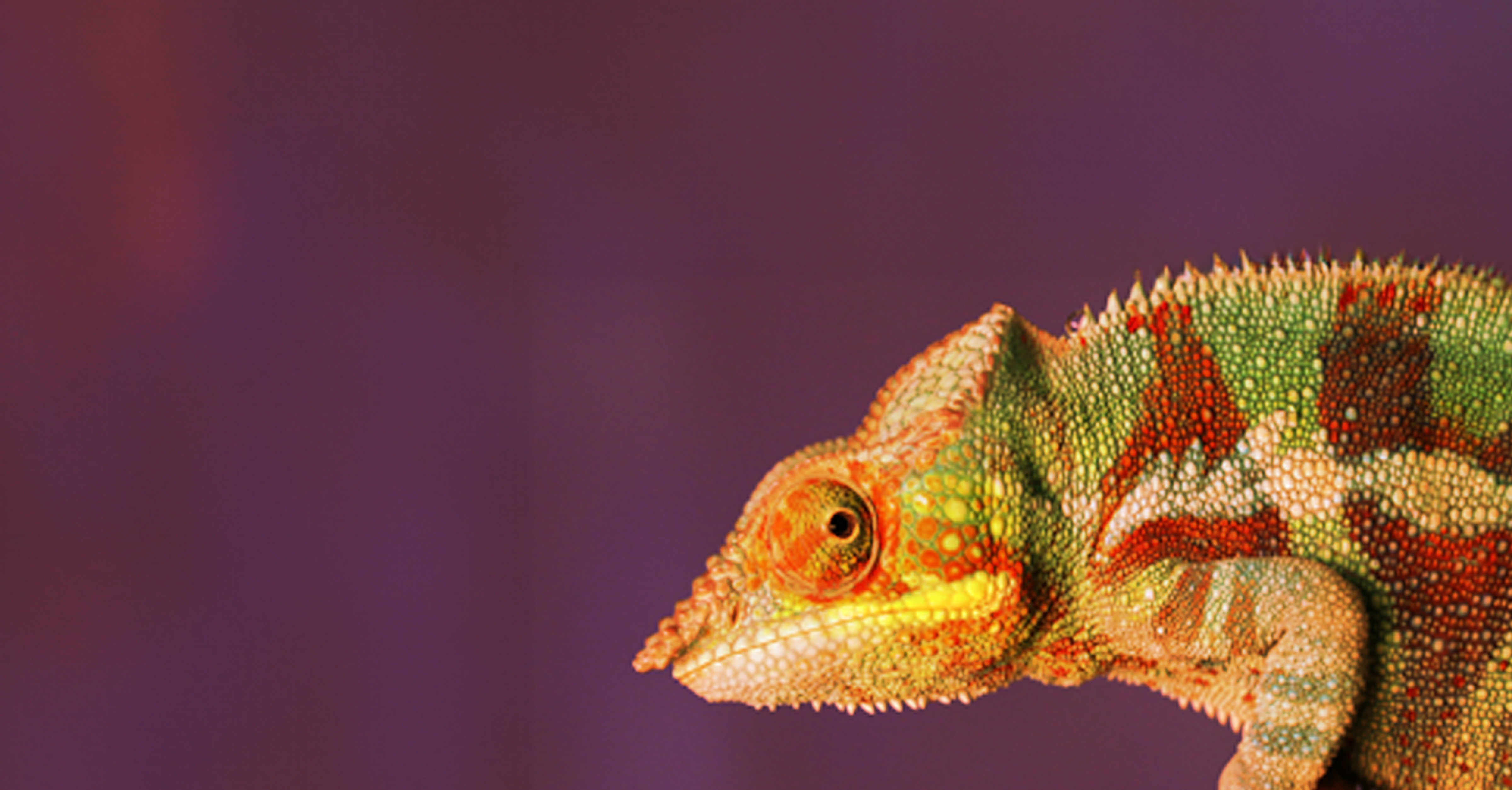 Impostor Syndrome – Are You Your Own Victim?